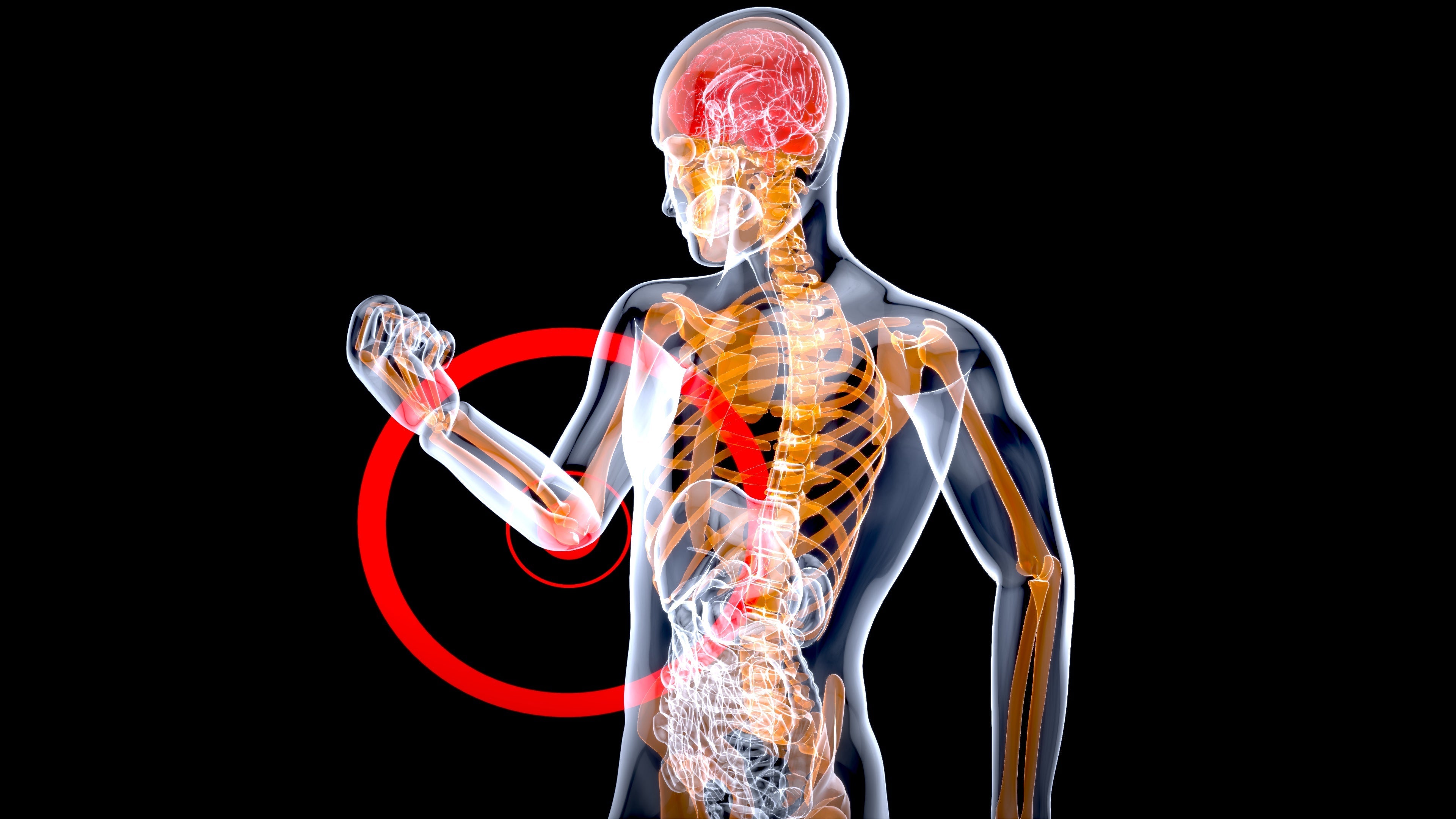 BPC-157: The Regenerative Peptide with Broad-Spectrum Healing Potential