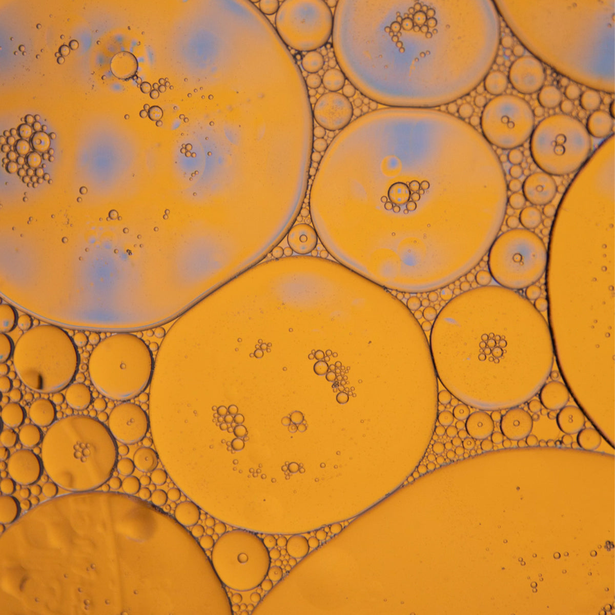 Transforming Recovery: How BPC 157, Thymosin Alpha-1, and Semax Restore Health After COVID
